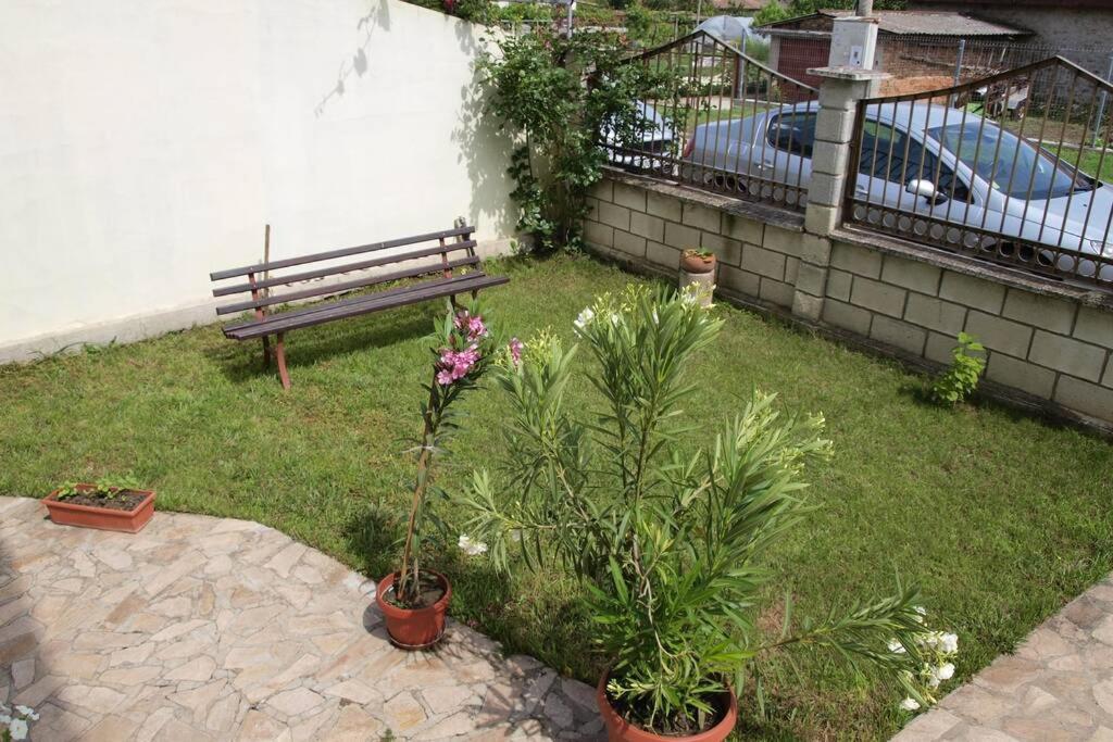 Къща За Гости Шишкови Şabla Exterior foto